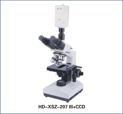 Microscope