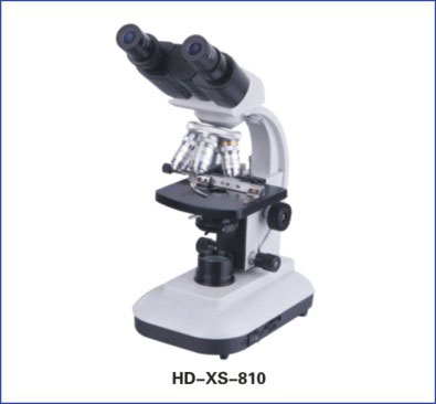 Microscope